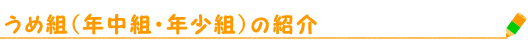 うめ組（年中組・年少組）の紹介